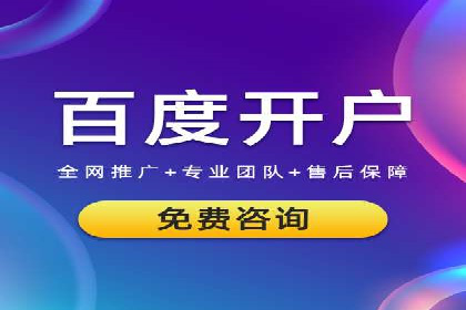 提升转化率：SEM竞价专员的案例研究